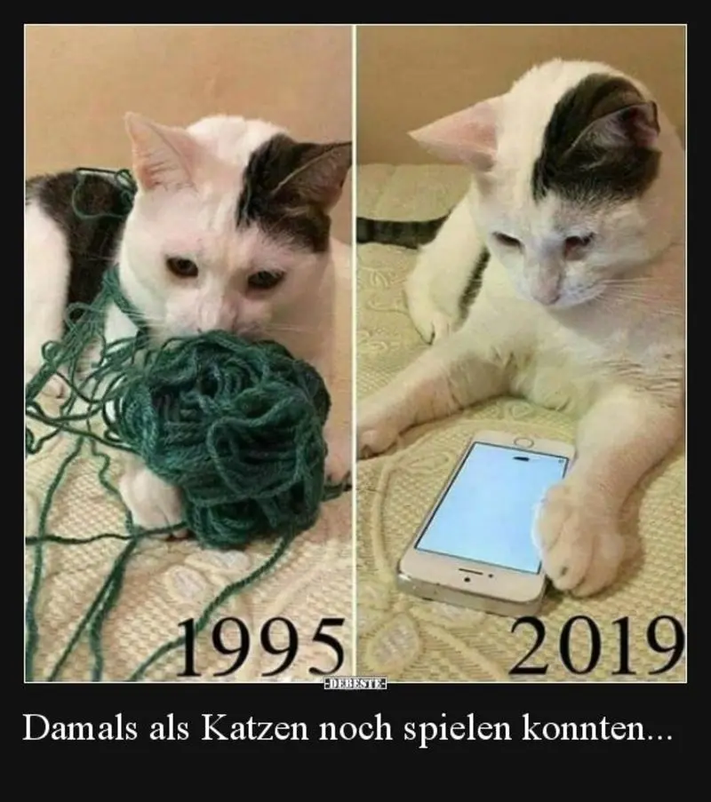 Andachtsbild von Post v. Gatita+Timmy+Schnuffi+Mausi an Mutti Tanja