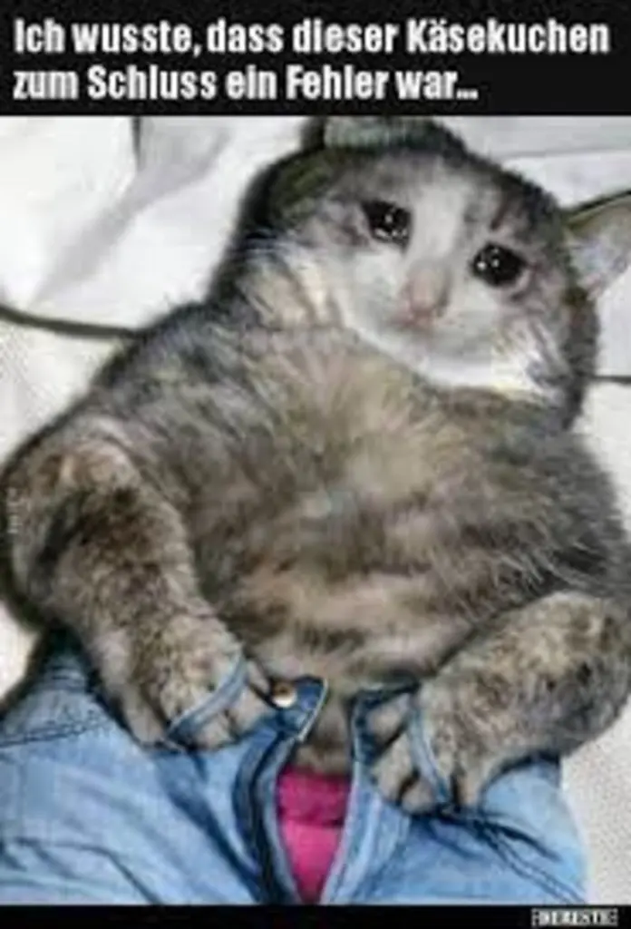 Andachtsbild von Post v. Gatita+Timmy+Schnuffi+Mausi an Mutti Tanja