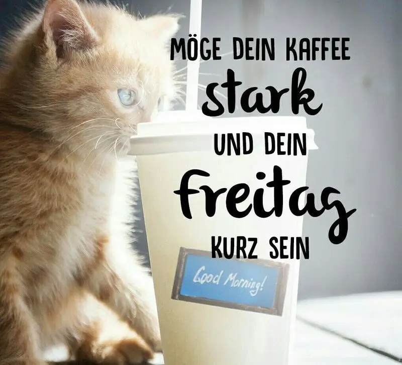 Andachtsbild von Post v. Gatita+Timmy+Schnuffi+Mausi an Mutti Tanja