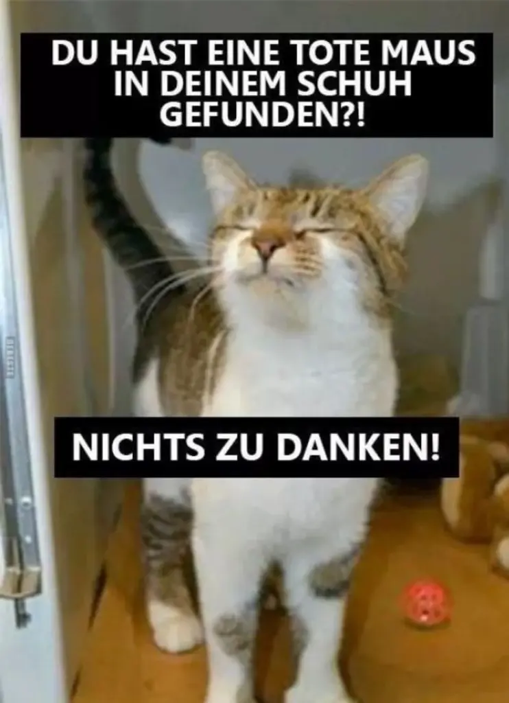 Andachtsbild von Post v. Gatita+Timmy+Schnuffi+Mausi an Mutti Tanja