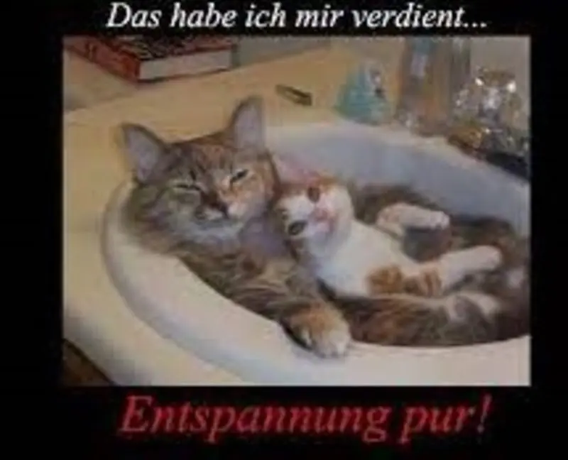 Andachtsbild von Silvia