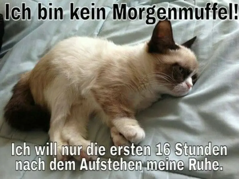 Andachtsbild von Post v. Gatita+Timmy+Schnuffi+Mausi an Mutti Tanja