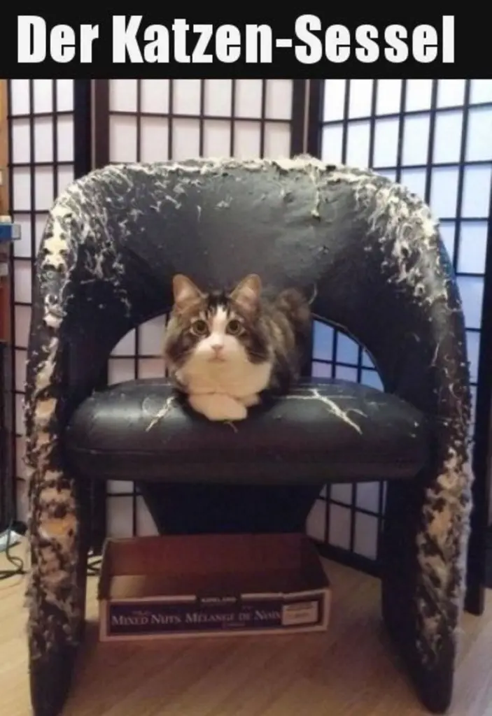 Andachtsbild von Post v. Gatita+Timmy+Schnuffi+Mausi an Mutti Tanja