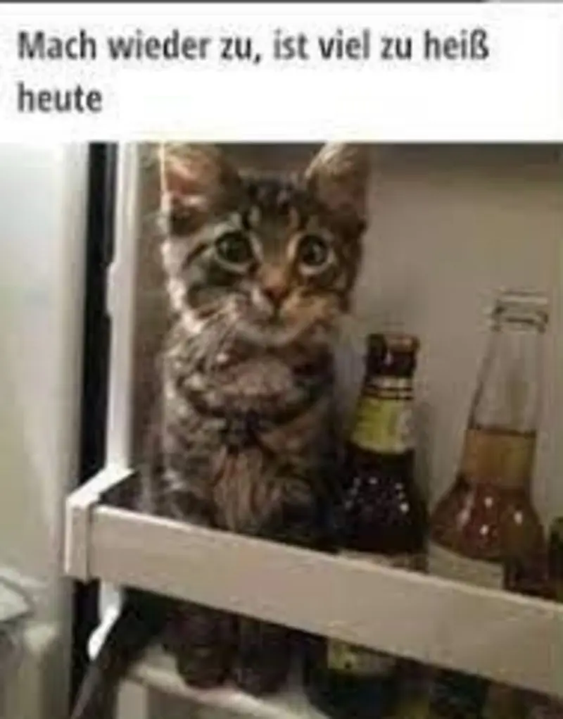 Andachtsbild von Post v. Gatita+Timmy+Schnuffi+Mausi an Mutti Tanja