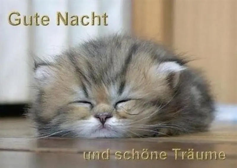 Andachtsbild von Gute Nacht ⭐