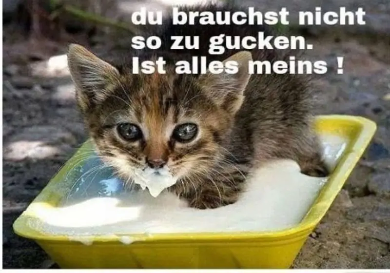 Andachtsbild von Von: Timmy+Gatita,Schnuffii,Mausi + HOPE an Mutti Tanja