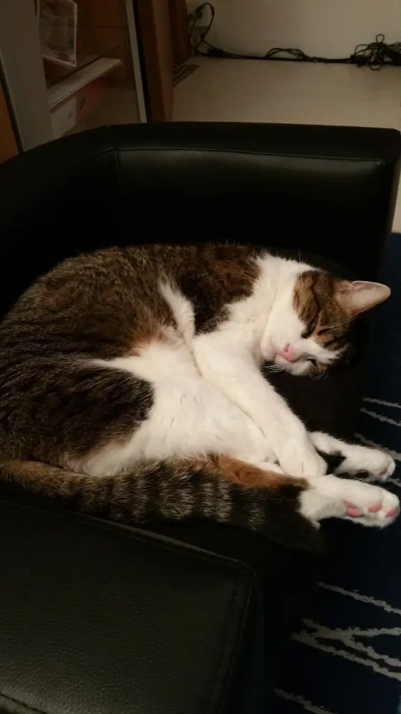 Andachtsbild von Von Deinem Frauchen Tanja