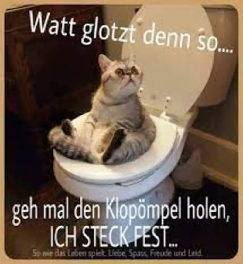 Condolence image of Von Gatita,Timmy,Schnuffi,Mausi + Hope an Mutti Tanja