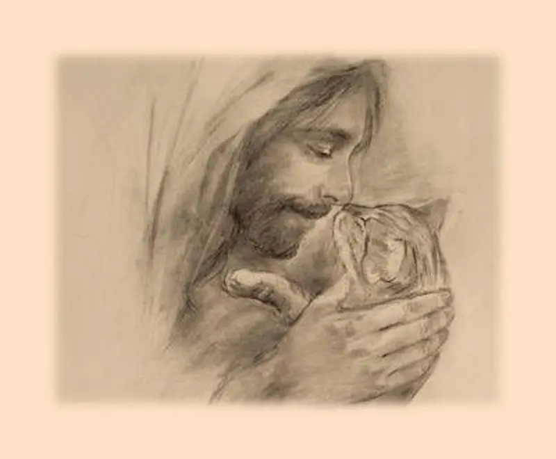 Condolence image of Sabine mit Kaspar tief im Herzen