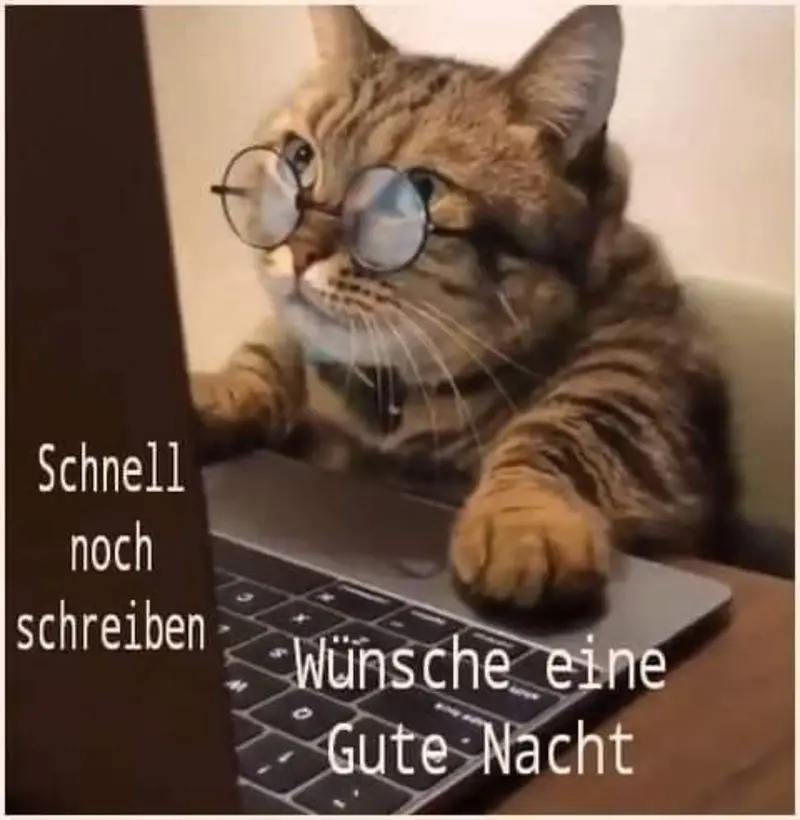 Condolence image of Sternchenpost⭐