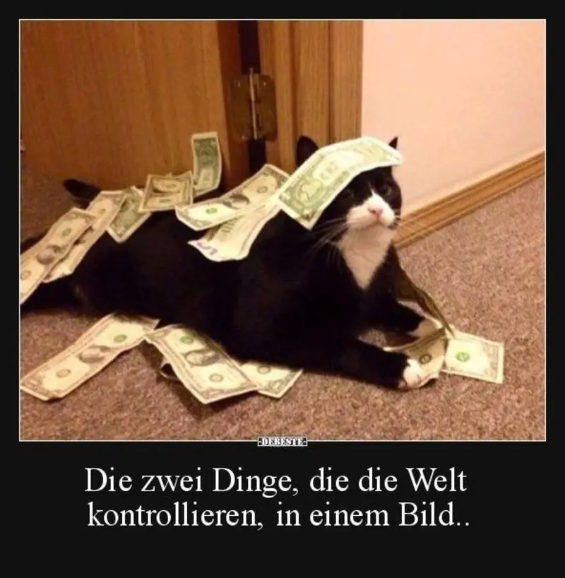 Condolence image of Sternchenpost⭐