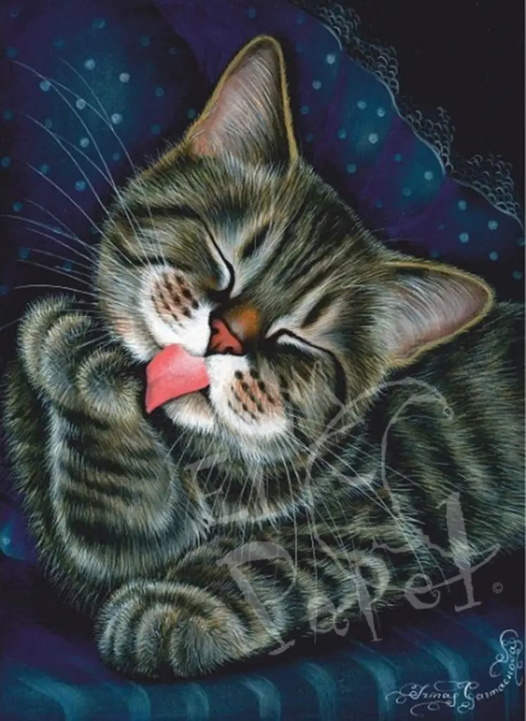 Condolence image of Sternchenpost⭐