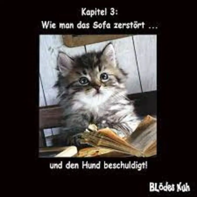 Condolence image of Von Gatita&Timmy,Schnuffi,Mausi,Hope an Katzenmutti Tanja