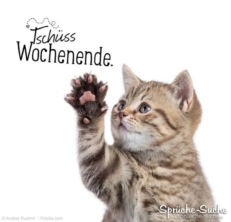 Condolence image of Sternchenpost⭐