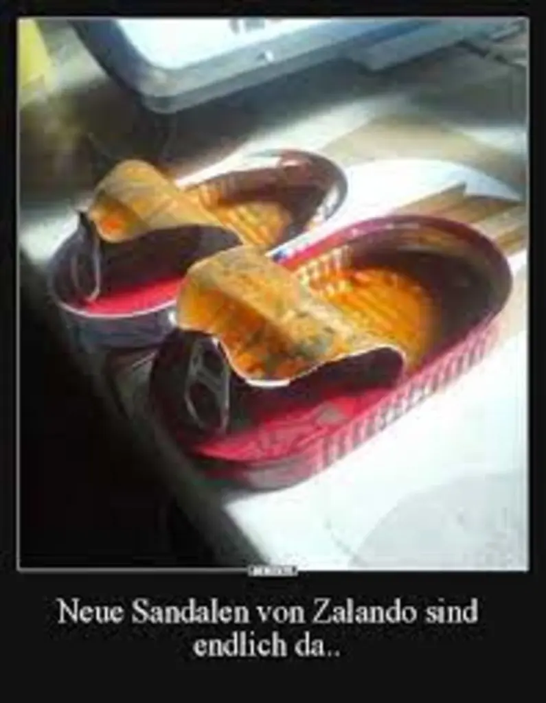 Condolence image of Von Gatita&Timmy,Schnuffi,Mausi,Hope an Katzenmutti Tanja