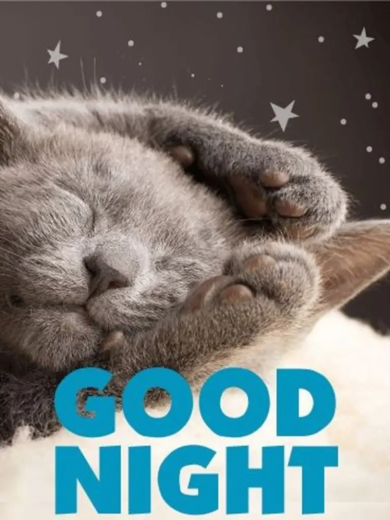 Condolence image of Sternchenpost⭐