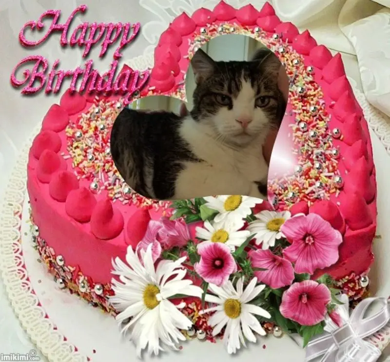 Condolence image of GEBURTSTAG❤️❤️❤️KIND❤️