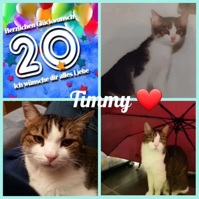 Condolence image of Ellen mit Lina ❤️und all meinen Sternchen ❤️