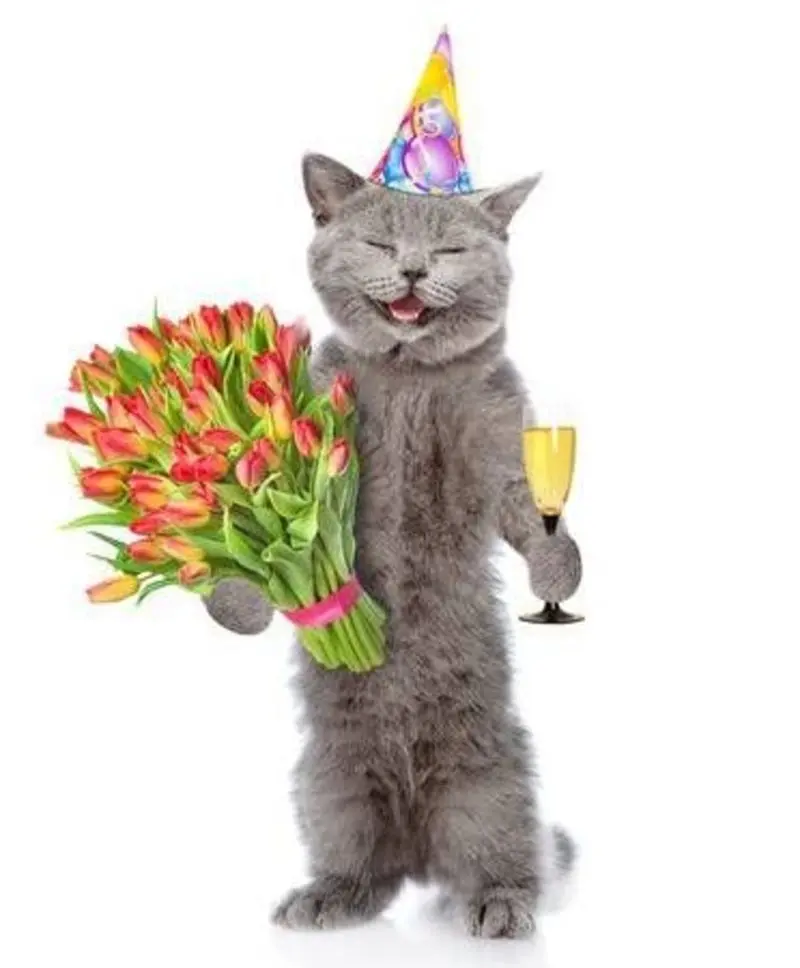 Condolence image of Sternchenpost⭐