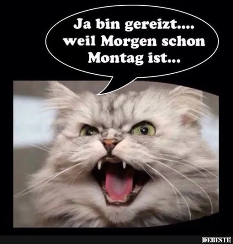 Condolence image of Post von Bunny 