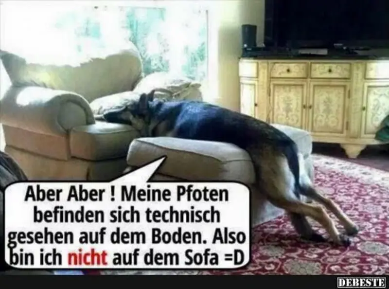 Condolence image of Von Gatita&Timmy,Schnuffi,Mausi,Hope an Katzenmutti Tanja