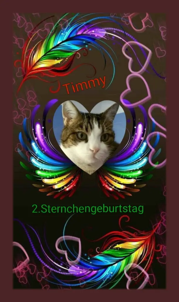 Condolence image of Sabine mit Kaspar tief im Herzen