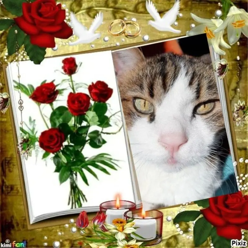 Condolence image of Jutta mit Purzel tief im Herzen✟08.05.2016 