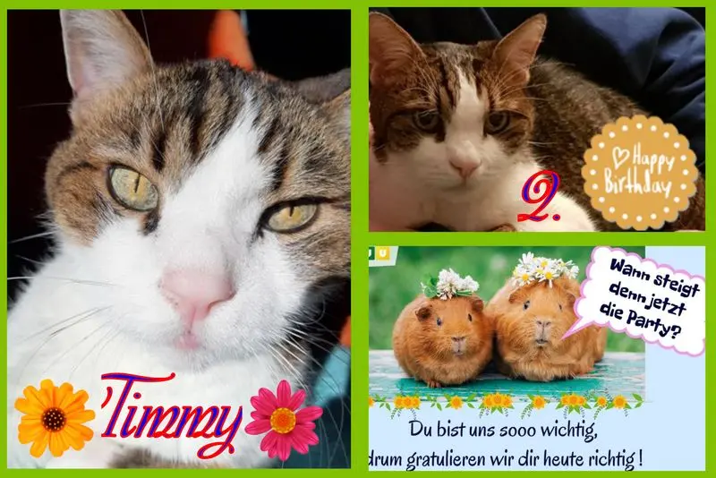 Condolence image of Eike und Edeltraud mit unseren sieben Sternchen tief im Herzen ❤❤❤❤❤❤❤