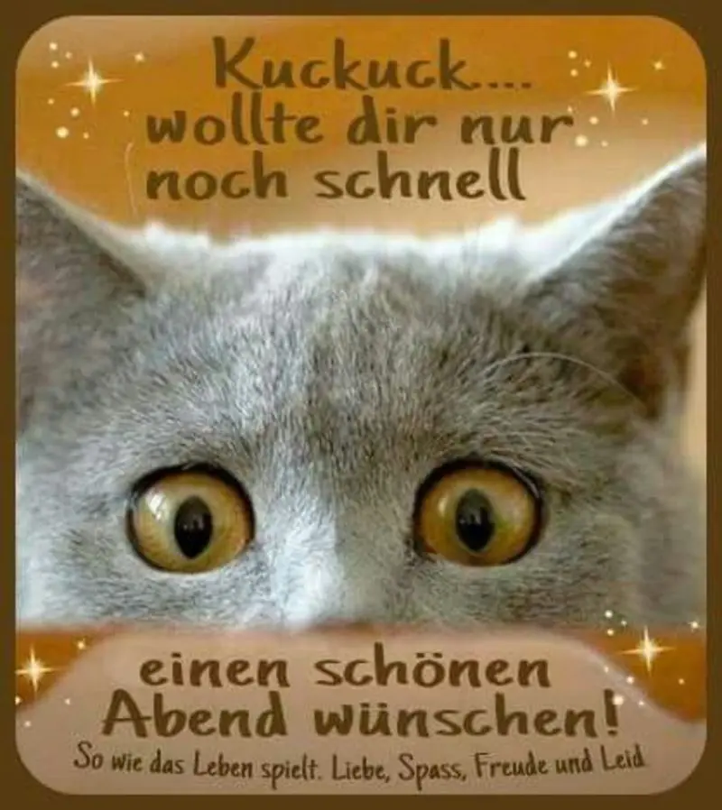 Condolence image of Jutta mit Flash im ❤️