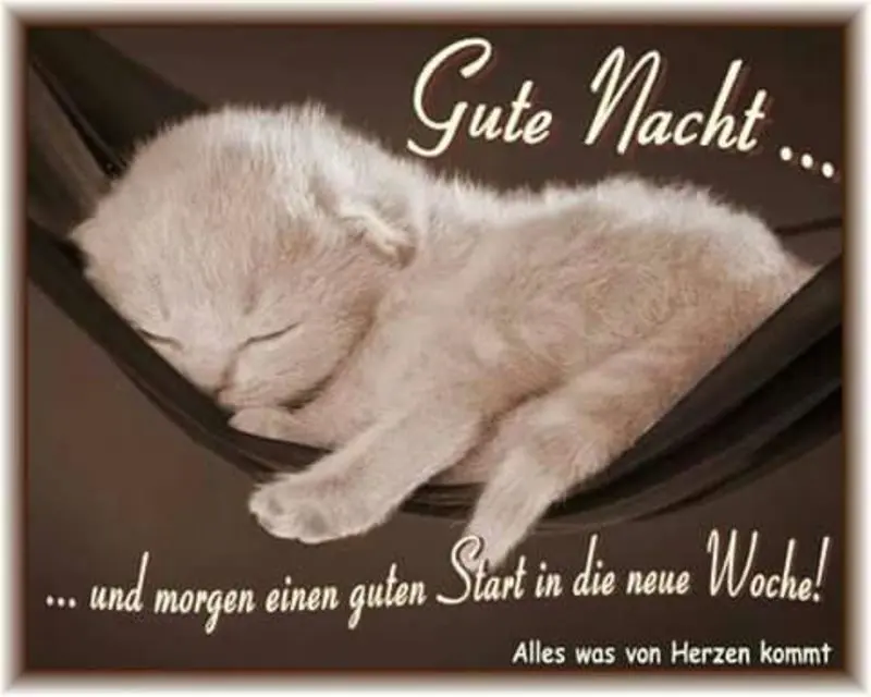 Condolence image of Patricia mit Bunny 