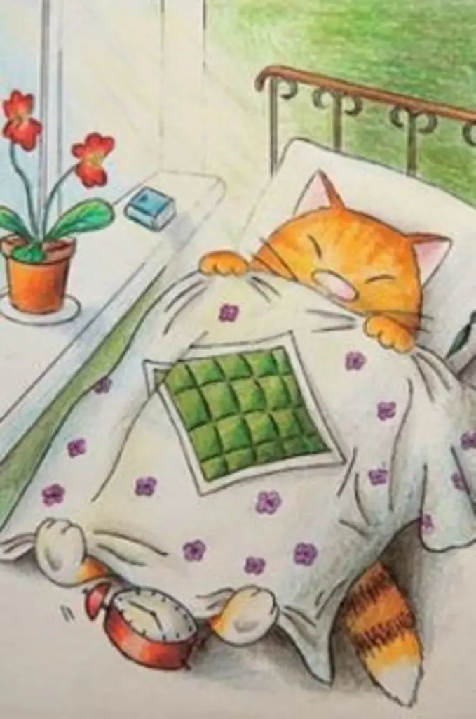 Condolence image of Sternchenpost⭐