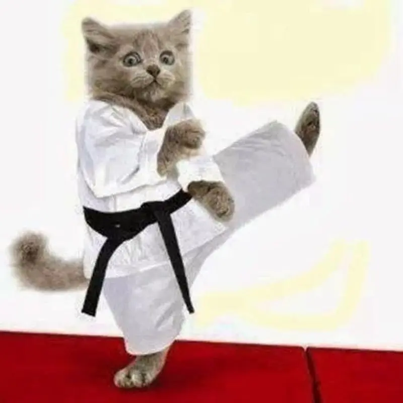 Condolence image of Sternchenpost⭐