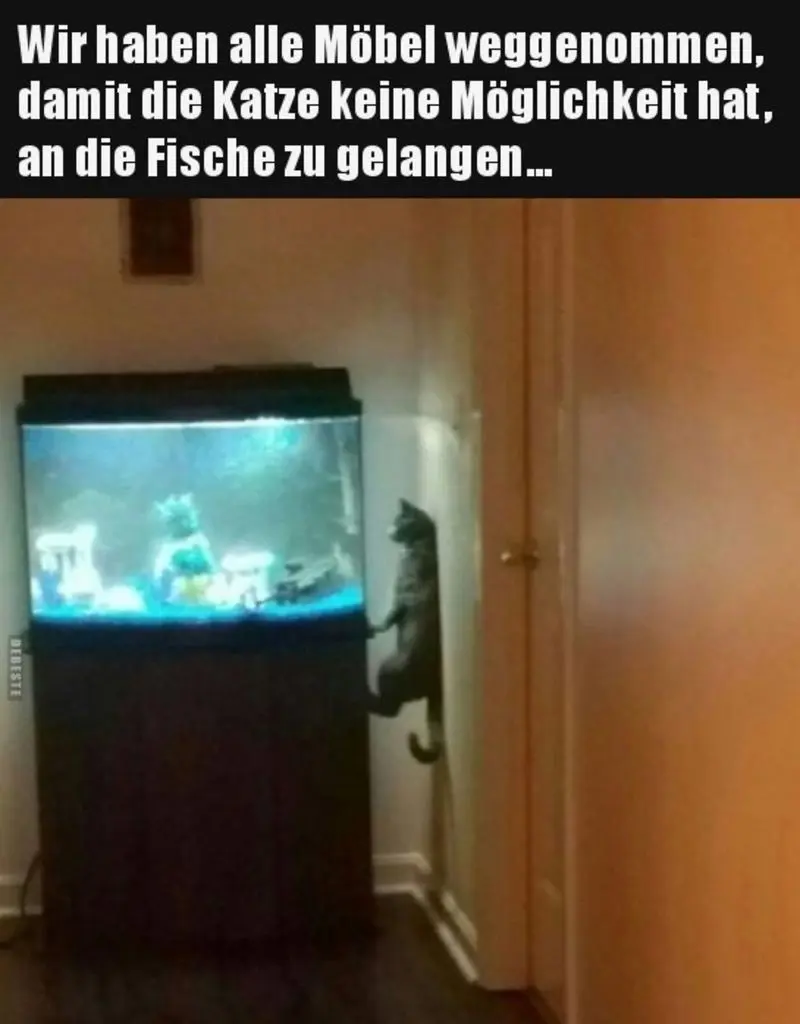 Condolence image of Silvia