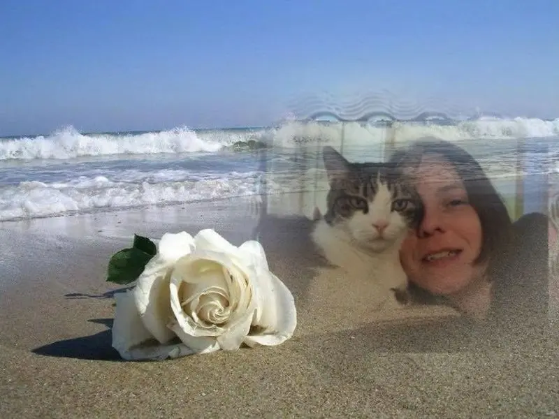 Condolence image of Guten Morgen❤️❤️❤️