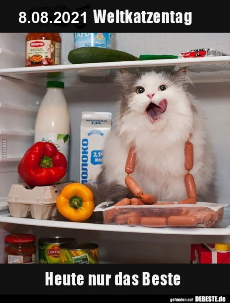 Condolence image of Sabine mit Kaspar tief im Herzen