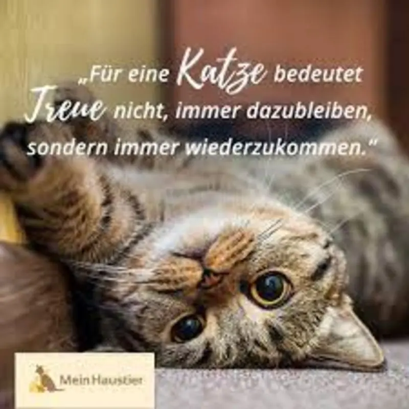 Condolence image of Jutta mit ❤️ Flash ❤️