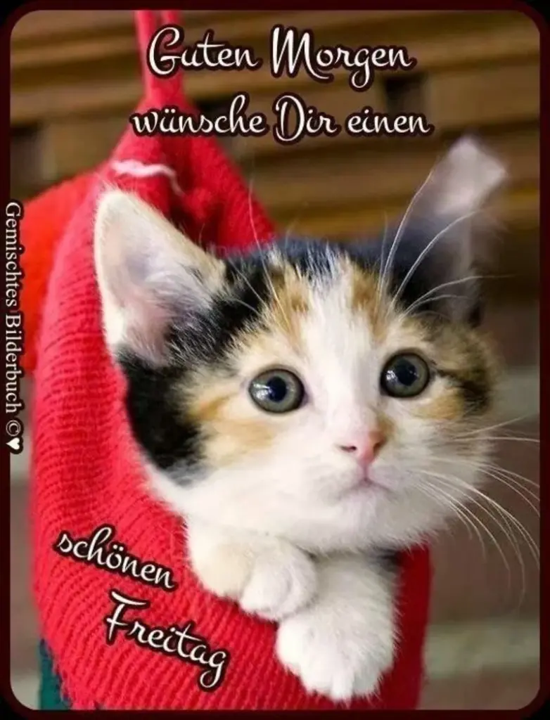 Condolence image of Patricia mit Bunny 