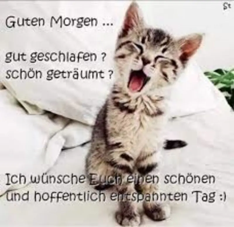 Condolence image of Jutta mit Flash  ❤️