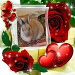 Condolence image of Danke ❤