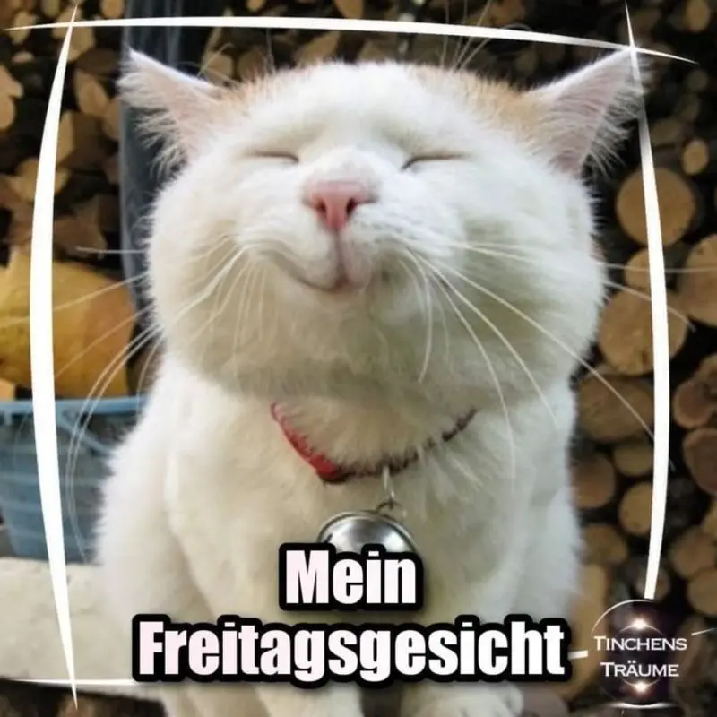 Condolence image of Patricia mit Bunny 