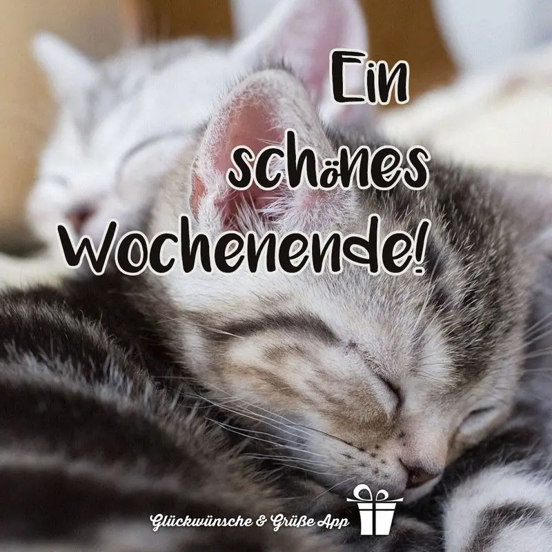 Condolence image of Jutta mit ❤️ Flash ❤️ 