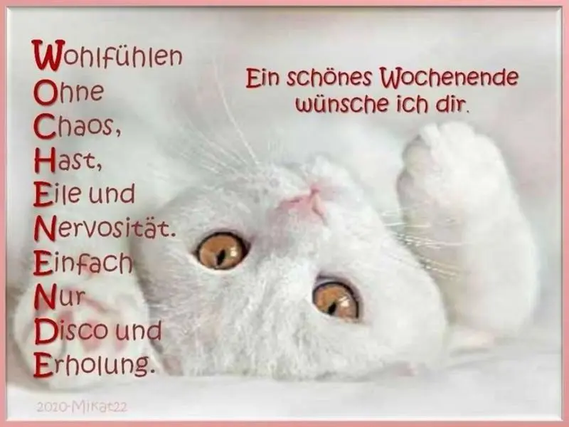 Condolence image of Für Timmy und Mama Tanja♥️