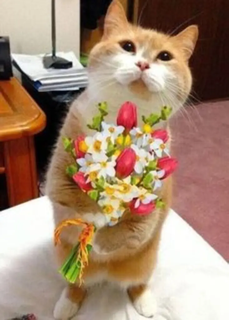 Condolence image of Patricia mit Bunny 