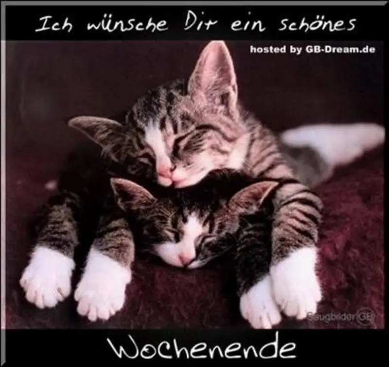 Condolence image of Für Engelchen Timmy und Mama Tanja ♥️