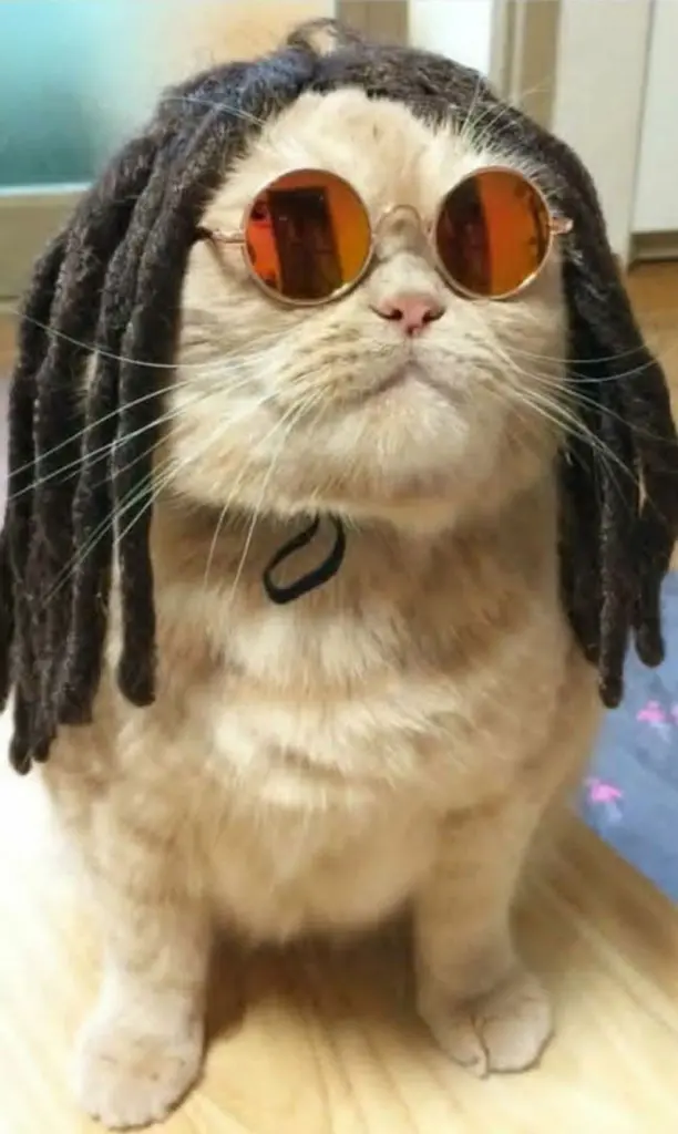 Condolence image of Post von Minki ❤