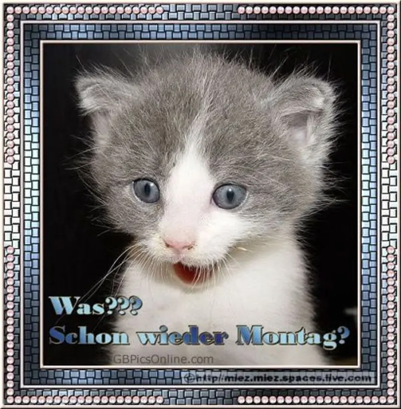 Condolence image of Patricia mit Bunny