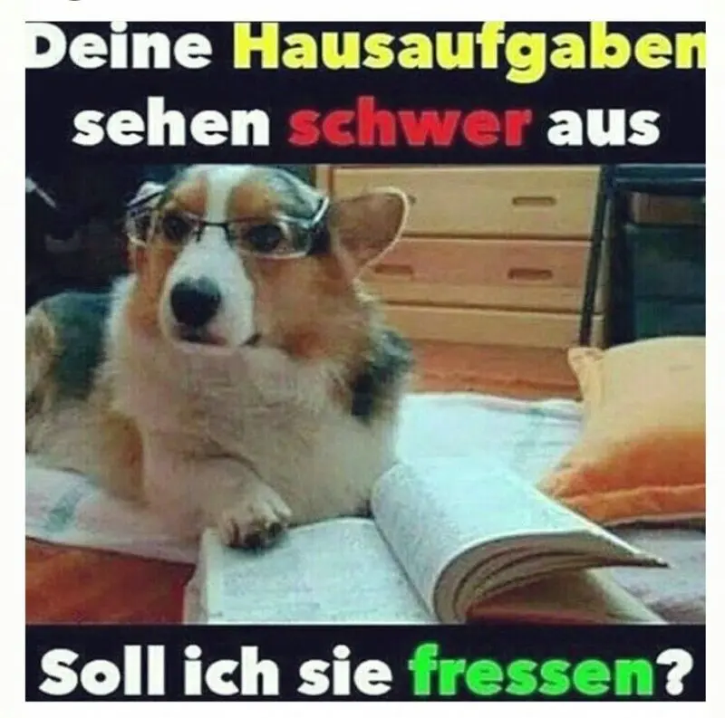 Condolence image of Von Gatita&Timmy,Schnuffi,Mausi,Hope an Katzenmutti Tanja