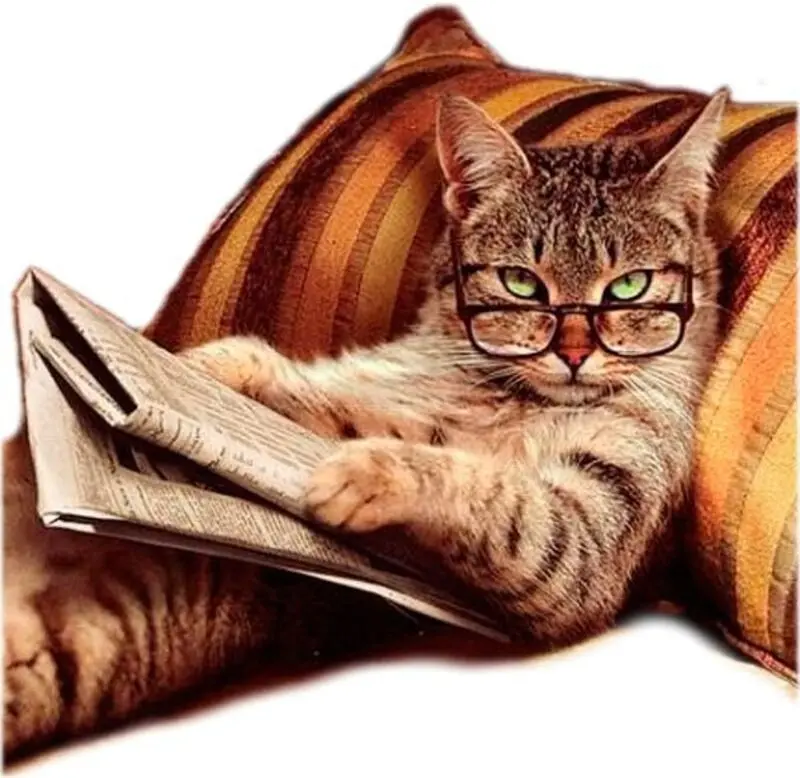 Condolence image of Für Timmy und Mama Tanja♥️