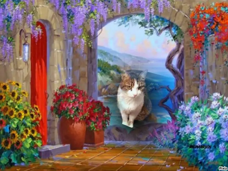 Condolence image of Sternchenpost ⭐