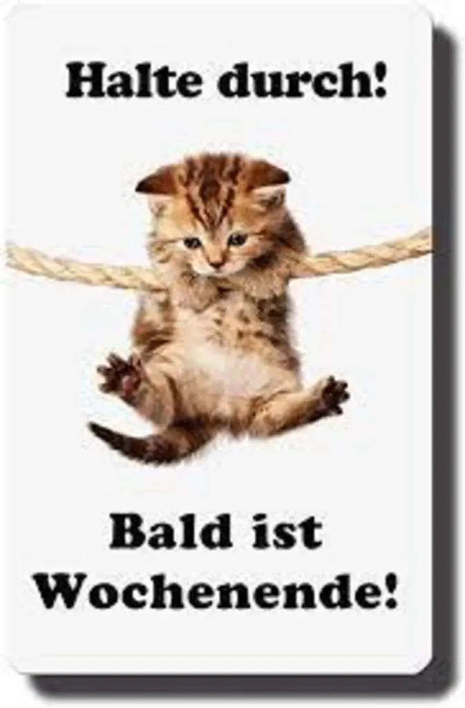 Condolence image of Jutta mit Flash im Herzen ❤️❤️.